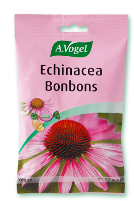 Vogel Echinacea Halspastil 75g