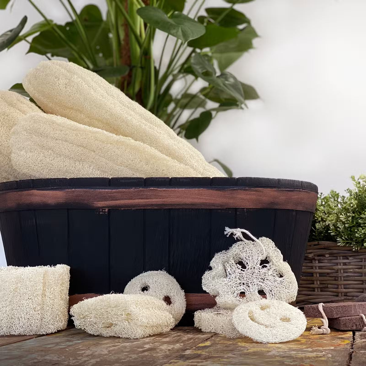 Egyptisk naturluffa
