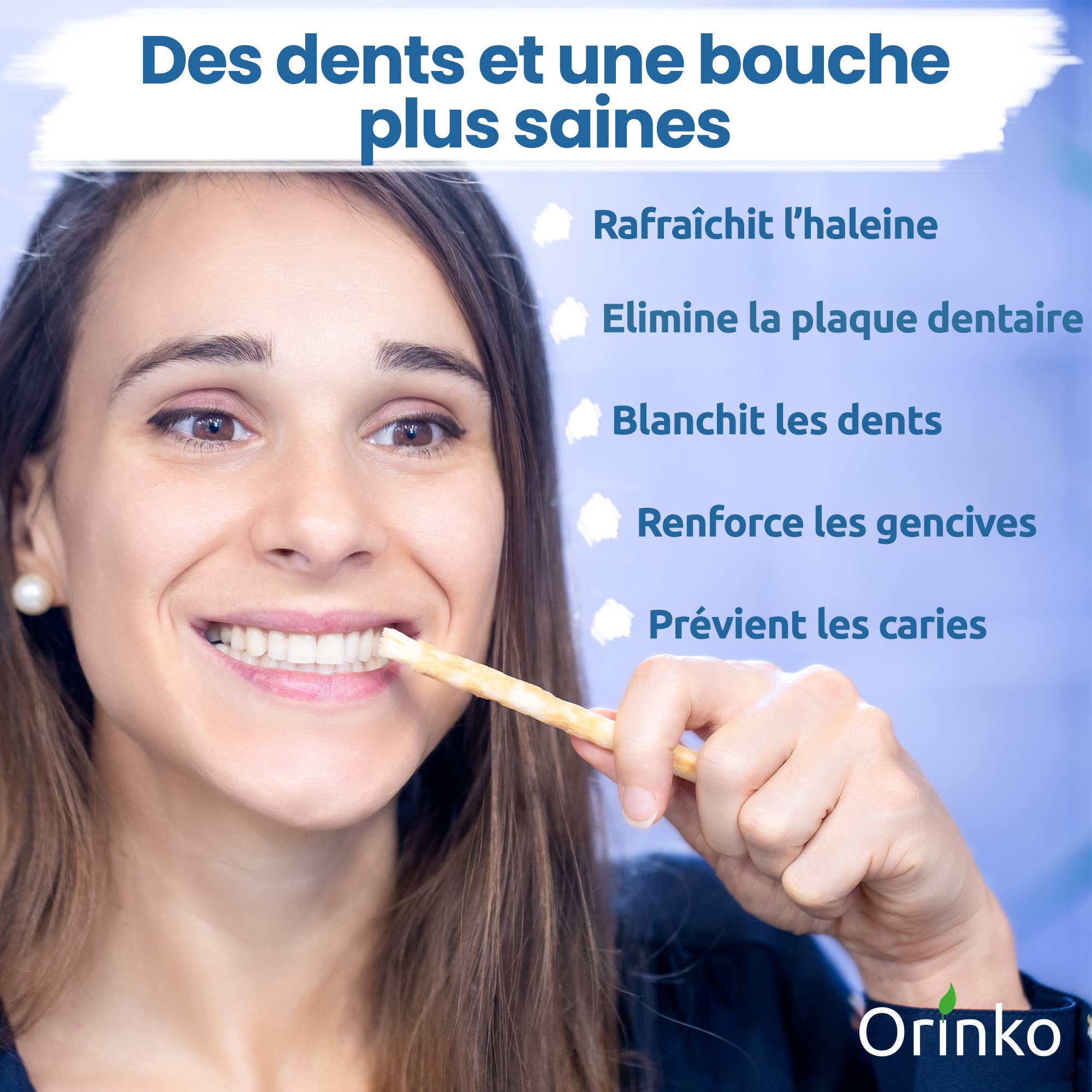 Siwak  ( Miswak ) tandpinnar 5 st + skyddsfodral