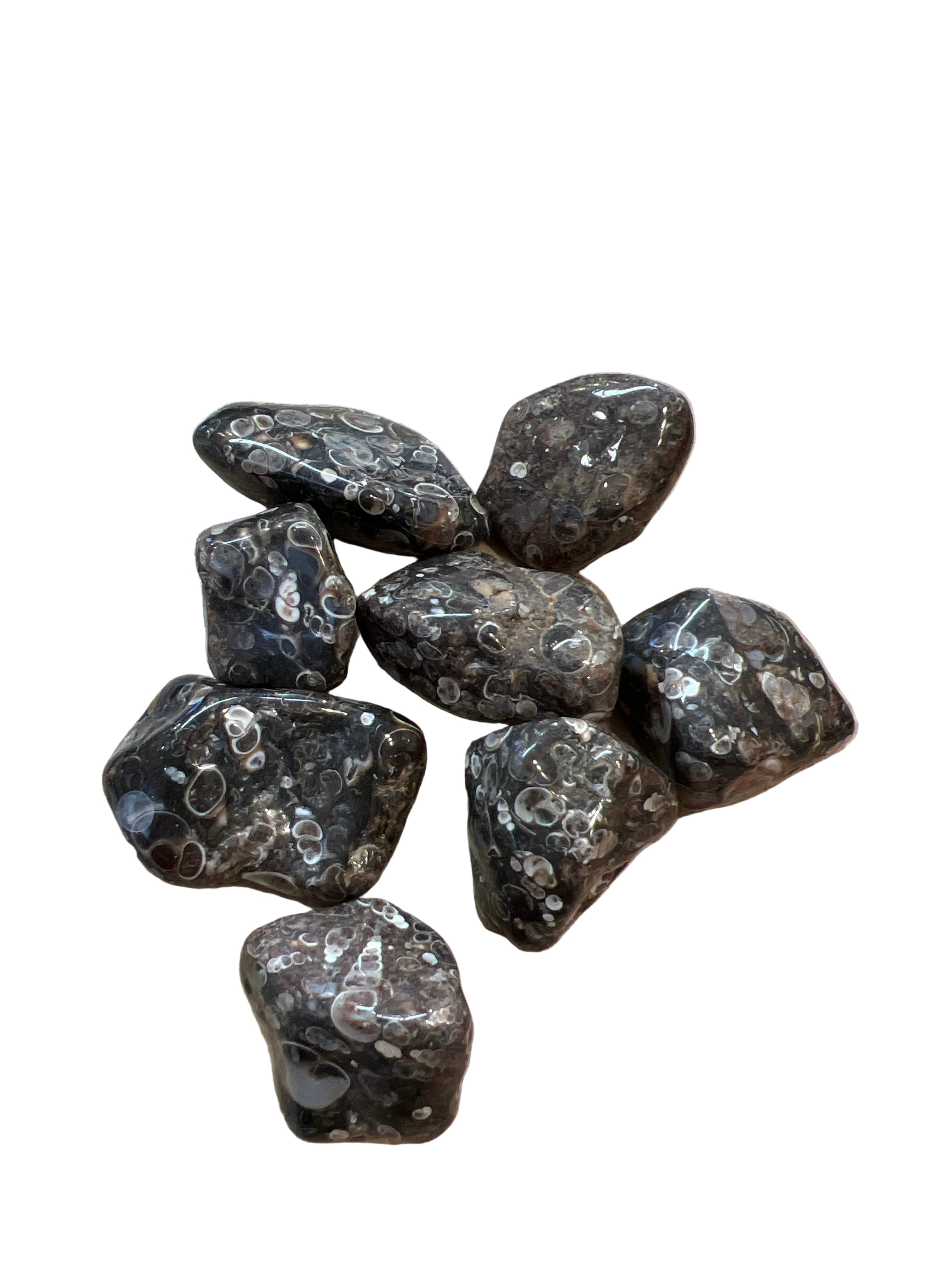 Trumlad Turitella Agat 3-5 cm