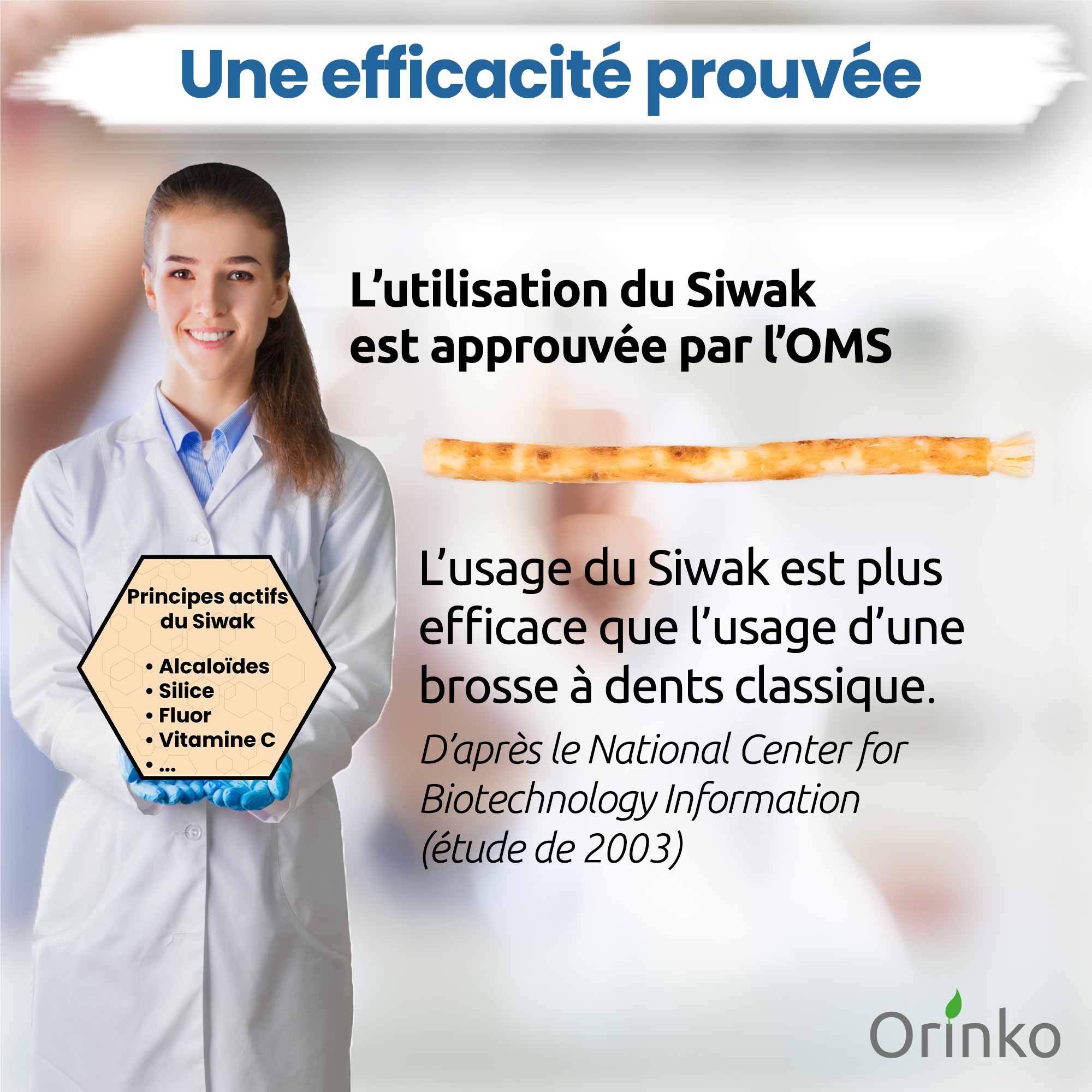 Siwak  ( Miswak ) tandpinnar 5 st + skyddsfodral