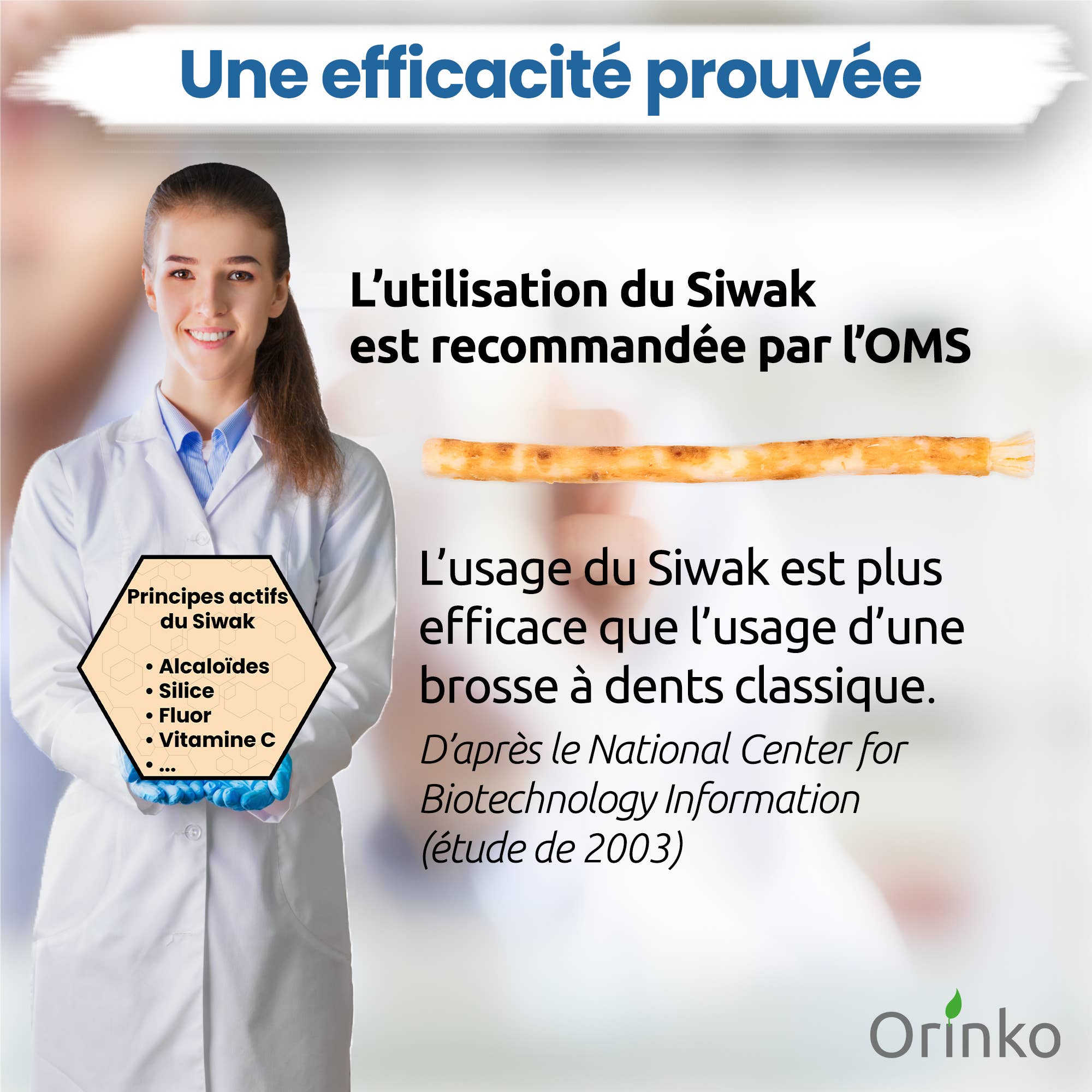 Miswak ( Siwak) 1st.