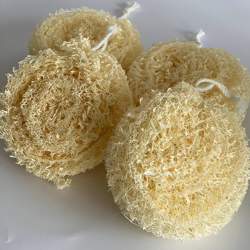 Luffa, pyöreä