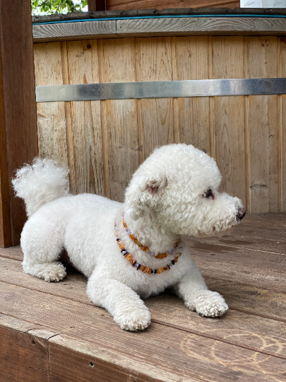 Meripihka & Ametisti-kaulapanta