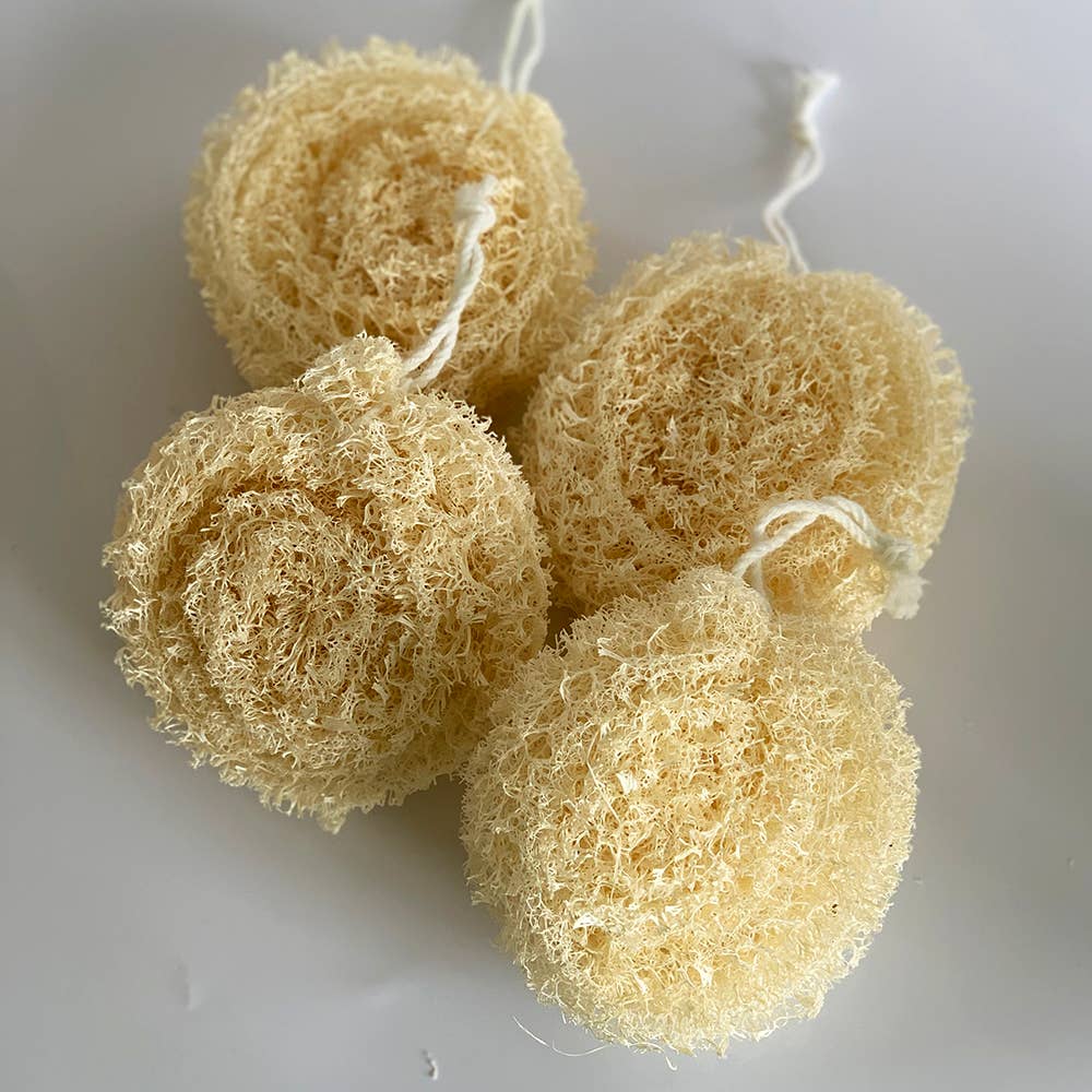 Luffa, pyöreä