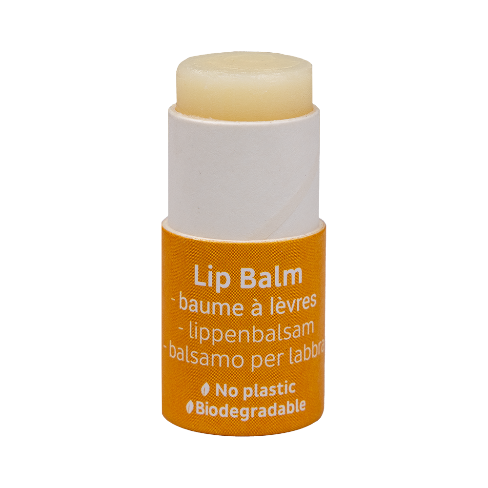 Beauty Made Easy – Honey Lip Balm 