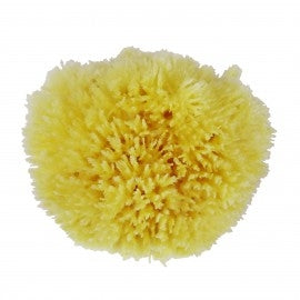 Avril Vartalosieni, pesusieni