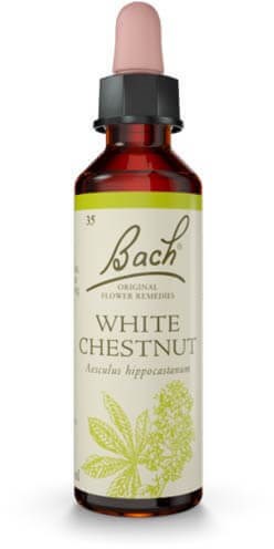 Bach Vit Kastanj 20ml