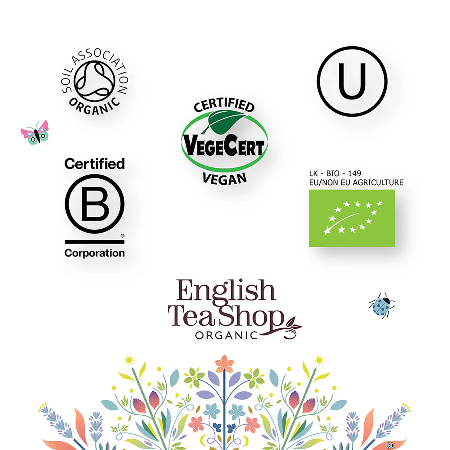 Wellness Holiday Collection 12ps