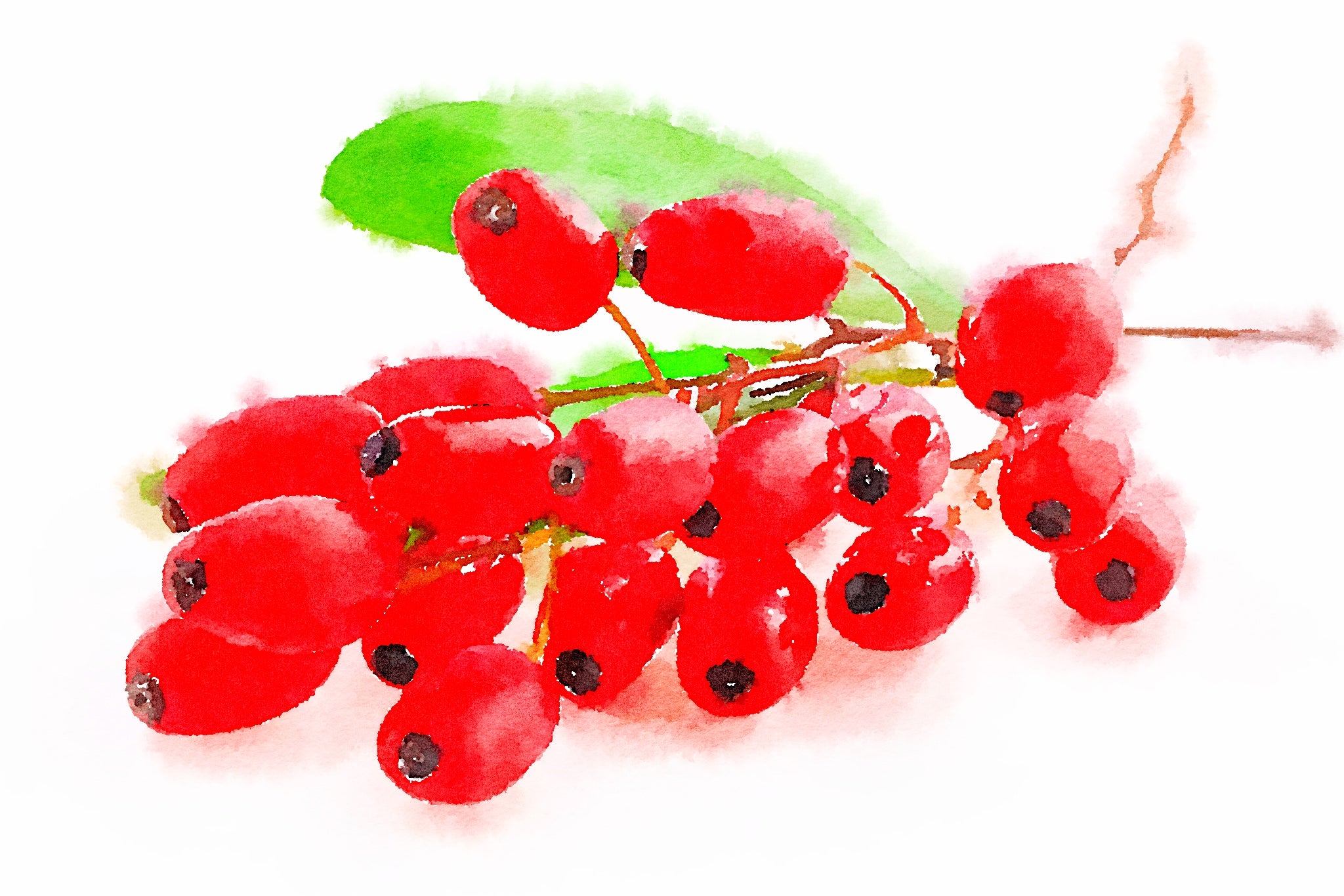 Fantastiska erbjudanden och nyheter