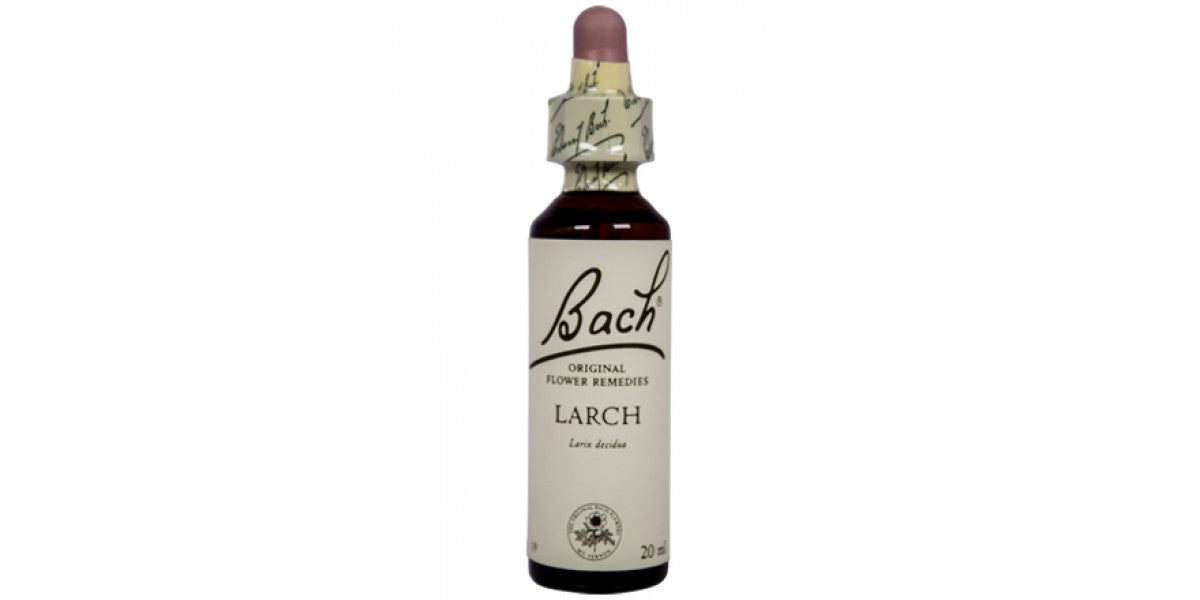 Larch kukkatippa 20ml