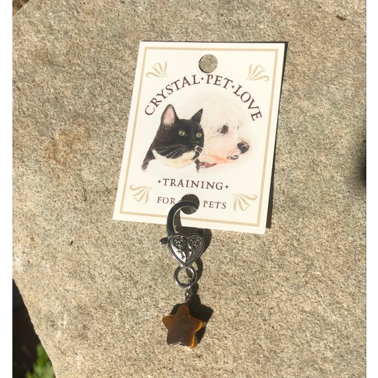 Husdjurshänge Stjärna