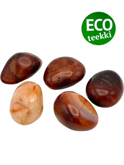 Polerad Karneol ISO ca 6x5 cm