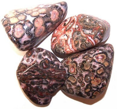 Trumlad  Leopard Skin Jaspis