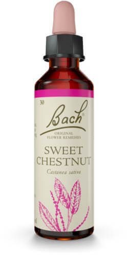 Sweet Chestnut 20ml