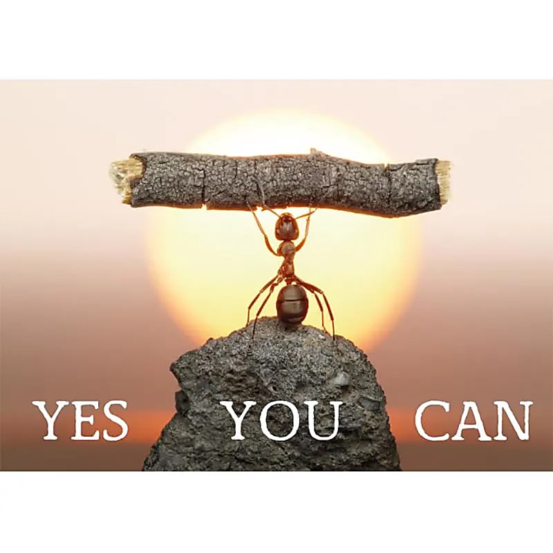 Yes You Can - vykort
