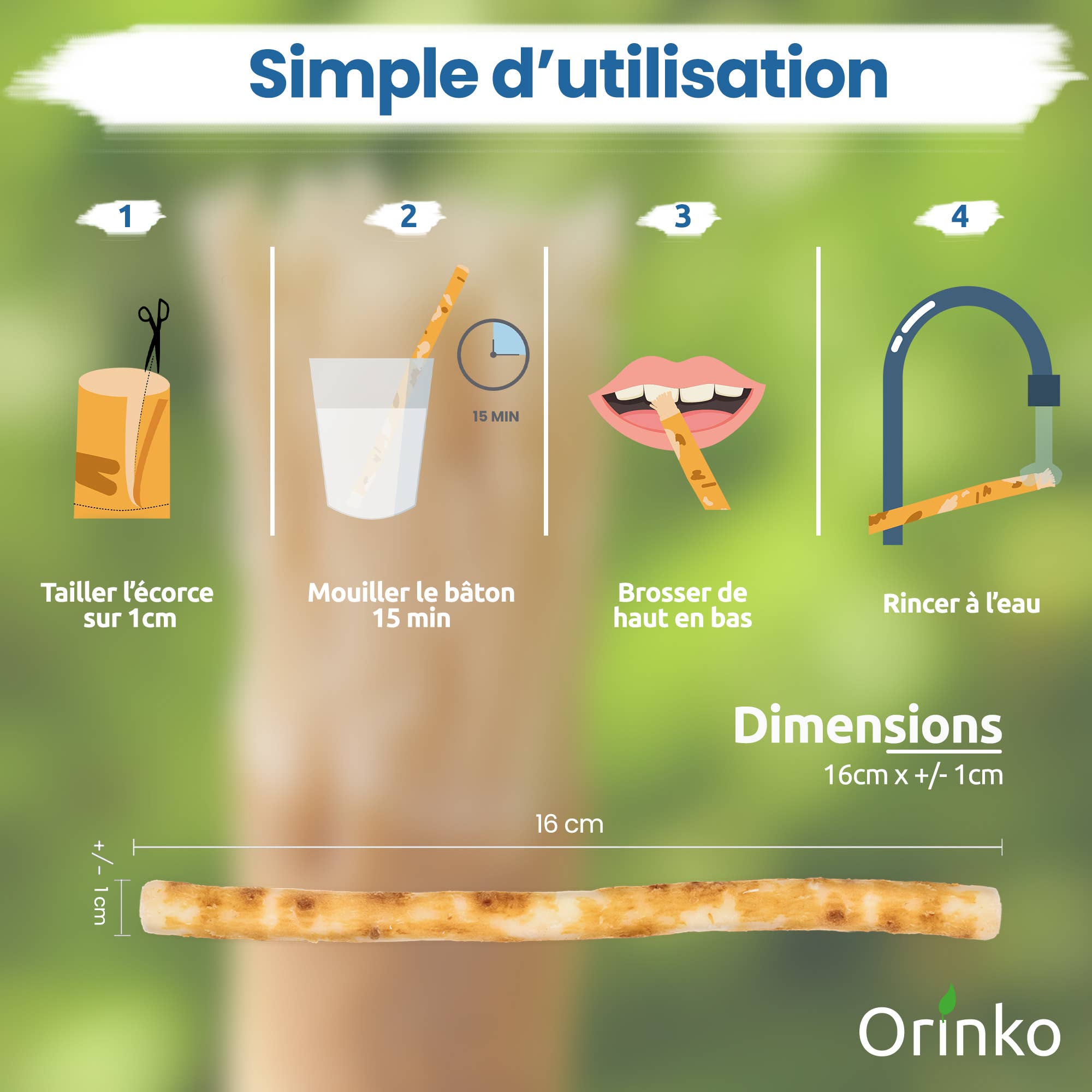 Siwak  ( Miswak ) tandpinnar 5 st + skyddsfodral
