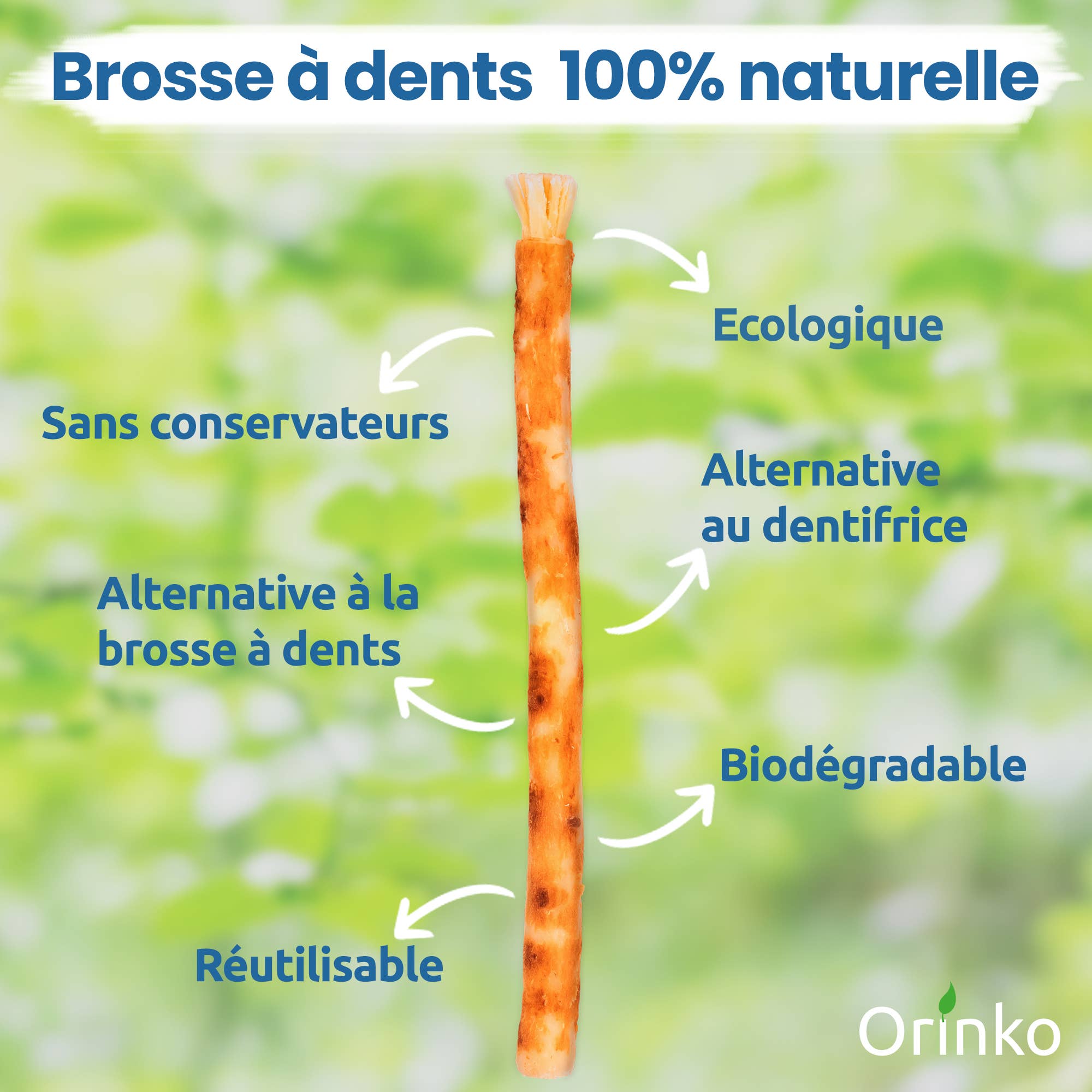 Siwak  ( Miswak ) tandpinnar 5 st + skyddsfodral