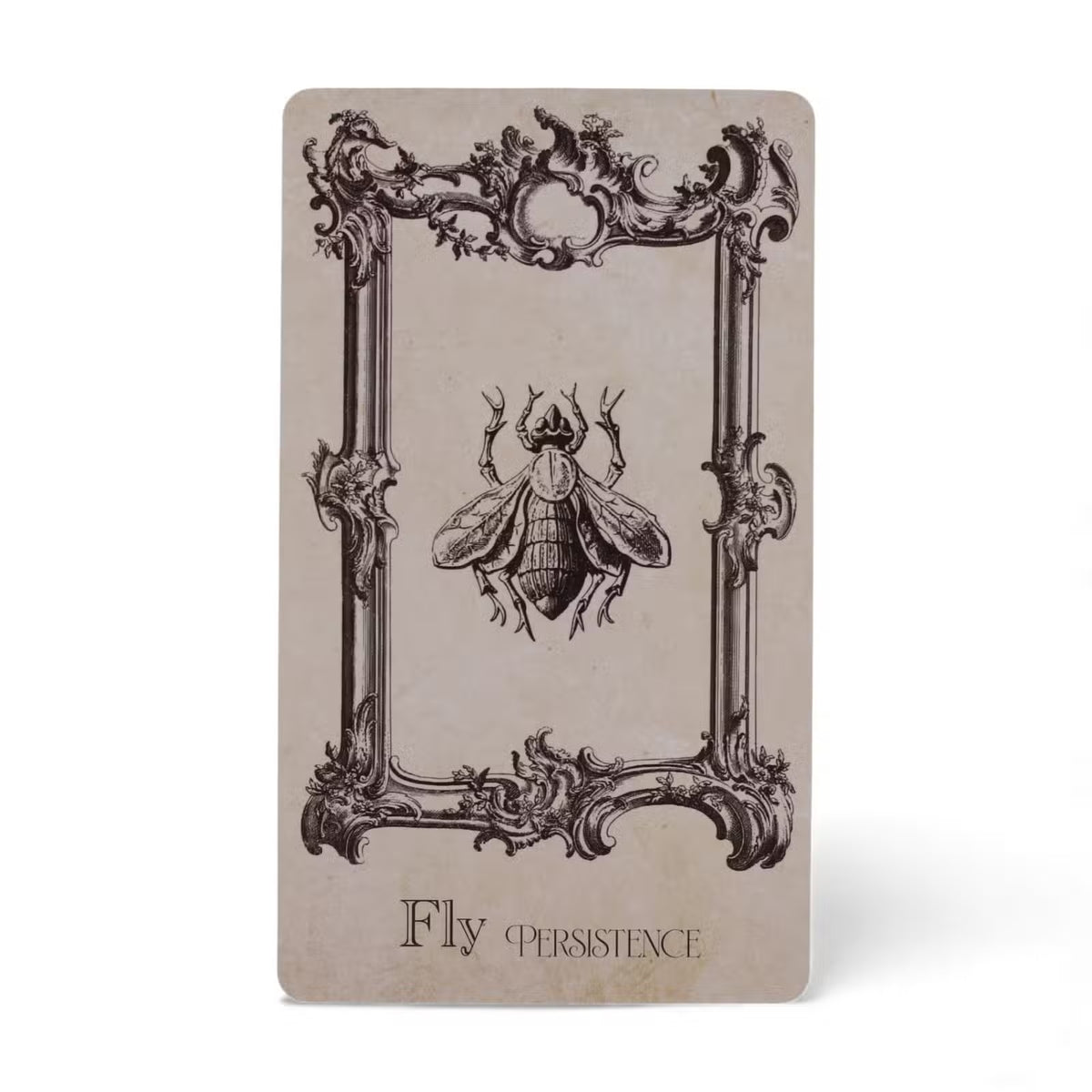 The Spellbook Oracle Cards – orakelkort