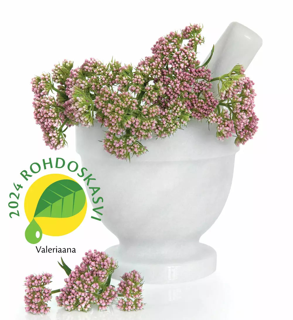 Vallörtrot 100 tabl.